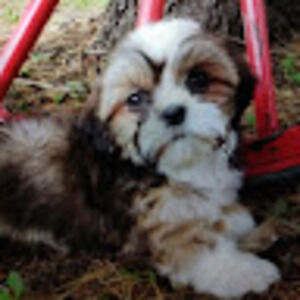 Meet your Posher, Kristy